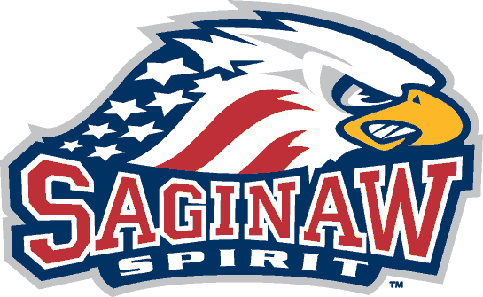 Saginaw Spirit iron ons